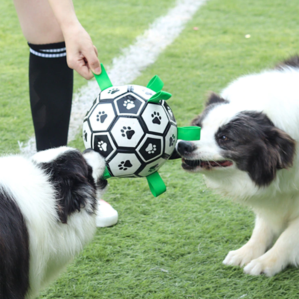 Bola de futebol para Cachorro